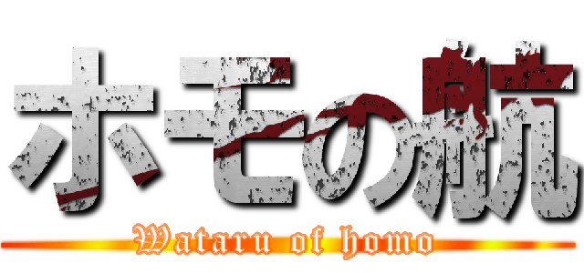 ホモの航 (Wataru of homo)