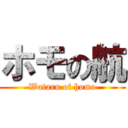 ホモの航 (Wataru of homo)