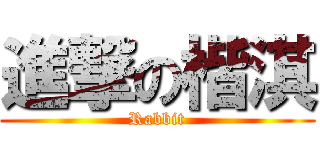 進撃の楷淇 (Rabbit)