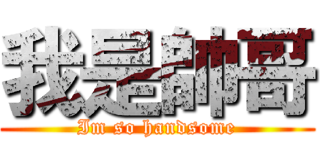 我是帥哥 (Im so handsome)