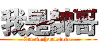 我是帥哥 (Im so handsome)