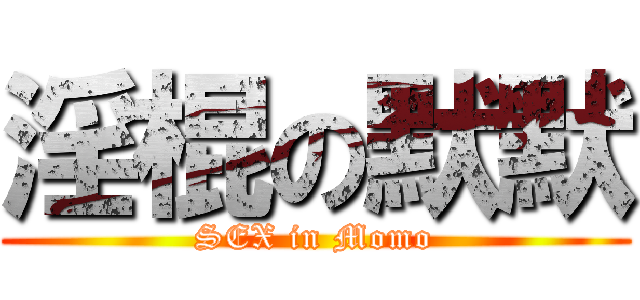 淫棍の默默 (SEX in Momo)