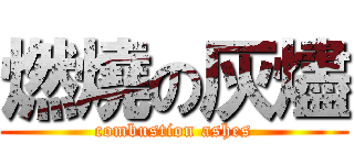 燃燒の灰燼 (combustion ashes)