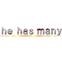 ｈｅ ｈａｓ ｍａｎｙ ()