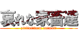 哀れな家畜達 (pitiful　farm animalｓ)