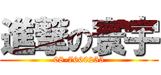 進撃の寰宇 (08-7660255)