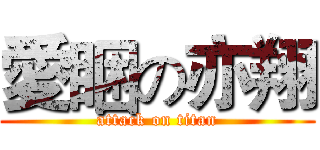 愛睏の亦翔 (attack on titan)