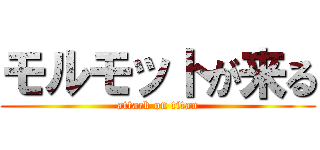 モルモットが来る (attack on titan)