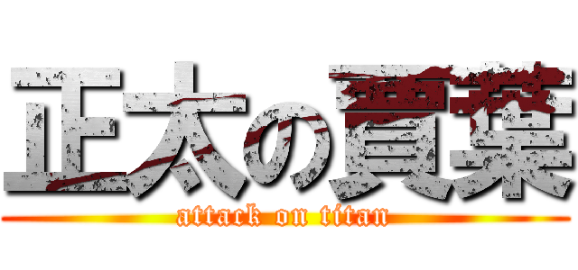 正太の賈葉 (attack on titan)