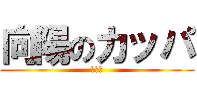 向陽のカッパ (斎藤巧)