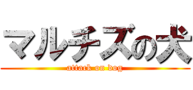 マルチズの犬 (attack on dog)