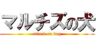 マルチズの犬 (attack on dog)