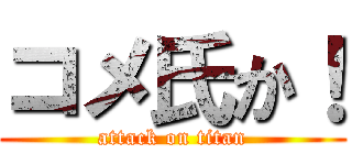 コメ氏か！ (attack on titan)