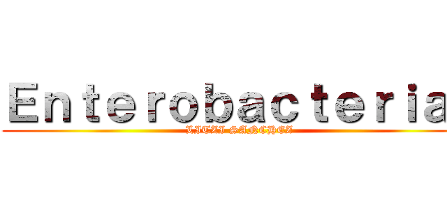 Ｅｎｔｅｒｏｂａｃｔｅｒｉａｓ (LITZI SANCHEZ )