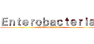 Ｅｎｔｅｒｏｂａｃｔｅｒｉａｓ (LITZI SANCHEZ )