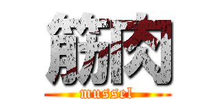 筋肉 (mussel)