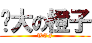 伟大の橙子 (WTF)