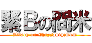 緊Ｂの冏米 (Attach on Chrysanthemum)