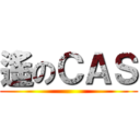 遙のＣＡＳ ()