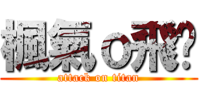 楓氣ｏ飛淚 (attack on titan)