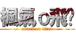 楓氣ｏ飛淚 (attack on titan)