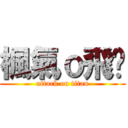 楓氣ｏ飛淚 (attack on titan)