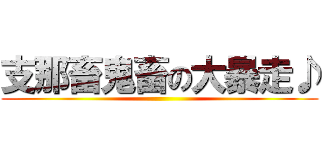 支那畜鬼畜の大暴走♪ ()