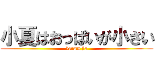 小夏はおっぱいが小さい (konatu ha)