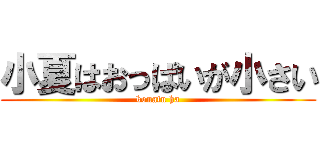 小夏はおっぱいが小さい (konatu ha)