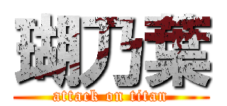 瑚乃葉 (attack on titan)