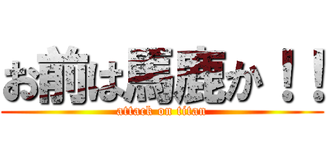 お前は馬鹿か！！ (attack on titan)