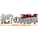 把她の刪掉 (attack on del)