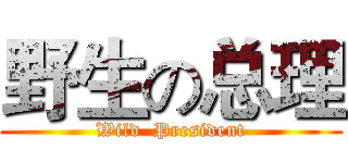 野生の总理 (Wild  President)