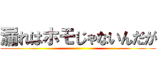 漏れはホモじゃないんだが ()