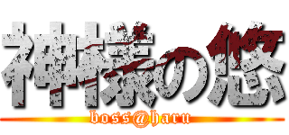 神様の悠 (boss@haru)