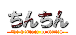 ちんちん (the perfect of tintin)