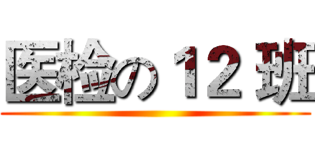 医检の１２ 班 ()