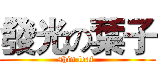 發光の葉子 (shin leaf )