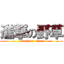 進撃の野草 (attack on titan)