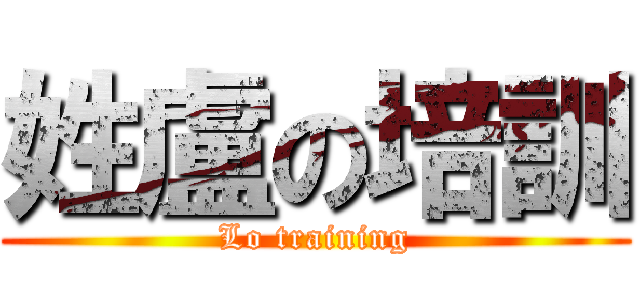 姓盧の培訓 (Lo training)