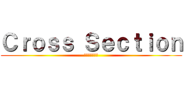 Ｃｒｏｓｓ Ｓｅｃｔｉｏｎ (㈱北斗システム)