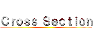 Ｃｒｏｓｓ Ｓｅｃｔｉｏｎ (㈱北斗システム)
