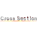 Ｃｒｏｓｓ Ｓｅｃｔｉｏｎ (㈱北斗システム)