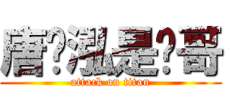 唐晓泓是帅哥 (attack on titan)