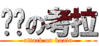 进击の考拉 (attack on koala)