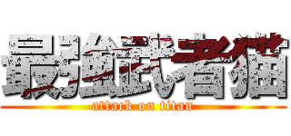 最強武者猫 (attack on titan)