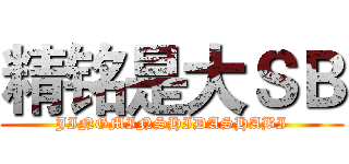 精铭是大ＳＢ (JINGMINSHIDASHABI)