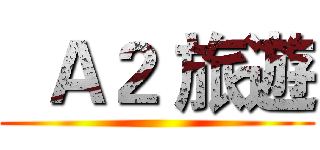   Ａ２ 旅遊 ()
