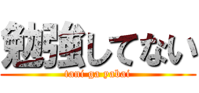 勉強してない (tani ga yabai)