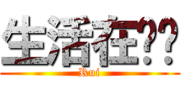 生活在别处 (Rui)